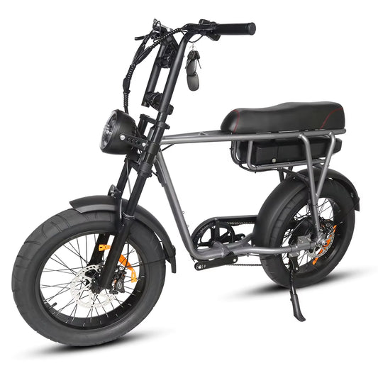 Experience Adventure with the T6 Electric Motorcycle: Powerful 750W Brushless Motor, 48V Lithium Battery, and Off-Road Capability!